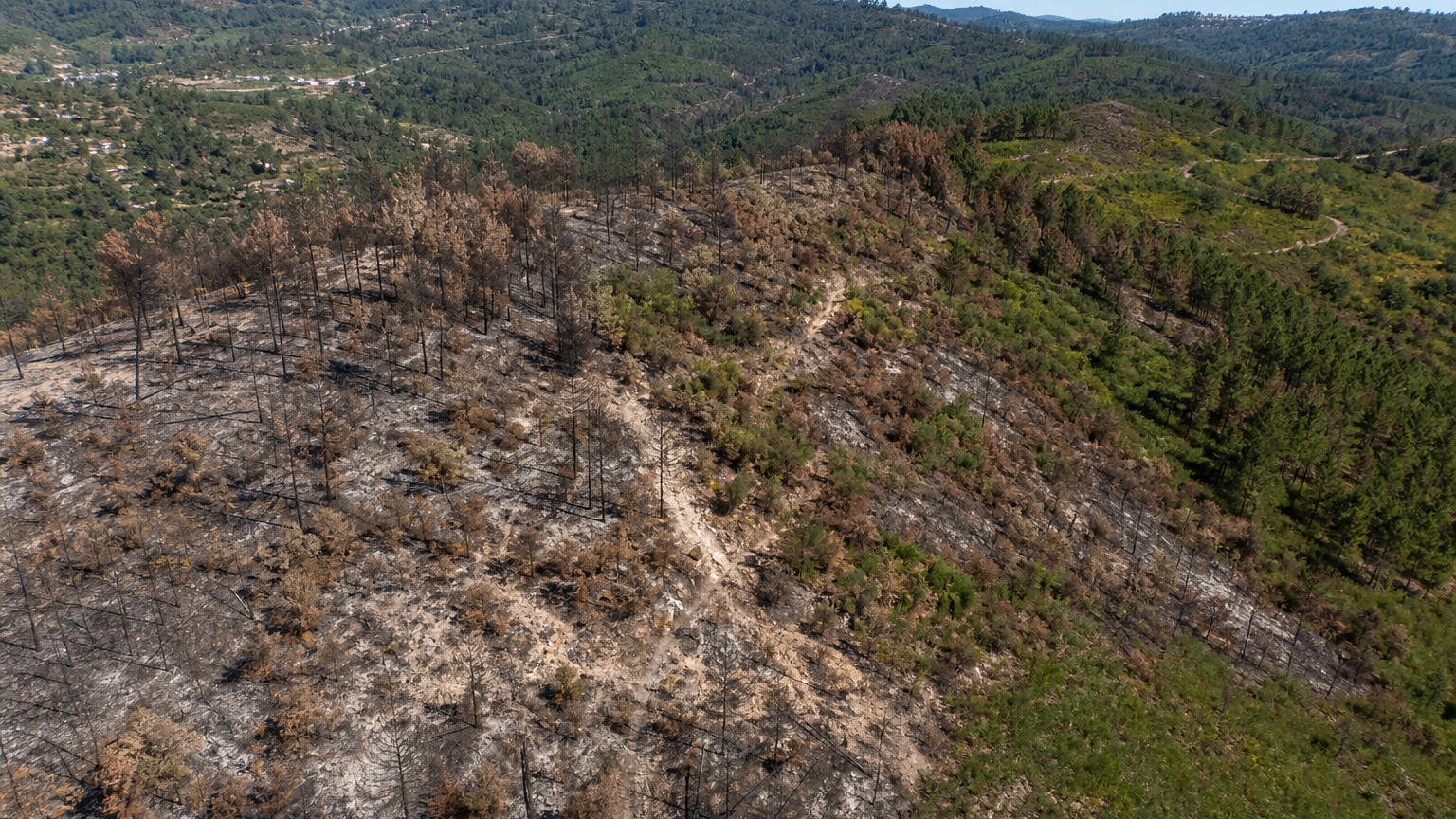 Visible Post-Wildfire Recovery and Erosion Indicators at Fragua, Talhadas