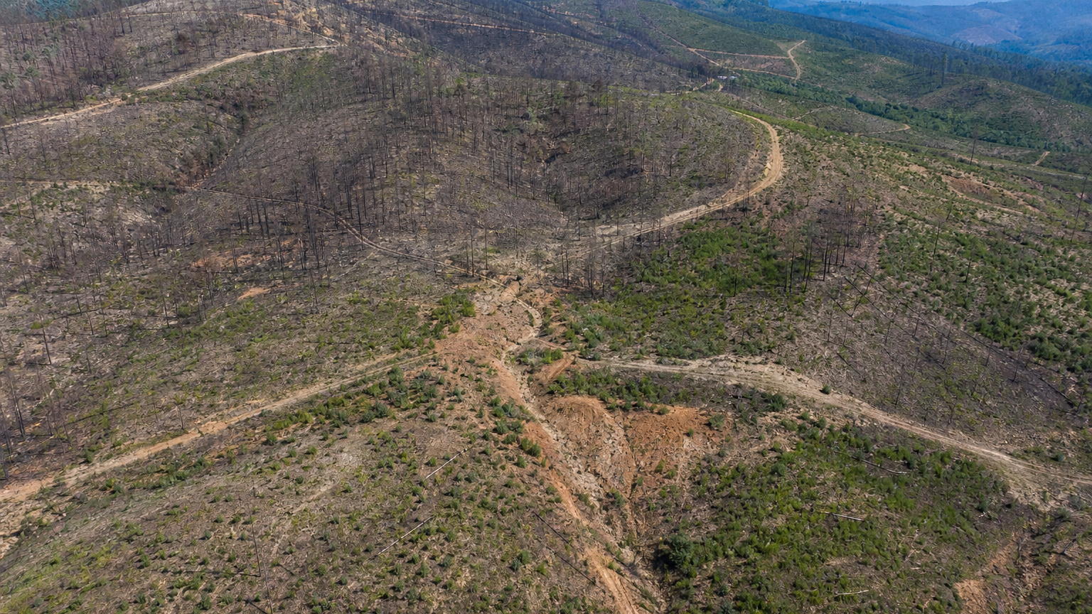 Indicadores visíveis de recuperação pós-incêndio florestal e de erosão em Fragua, Talhadas